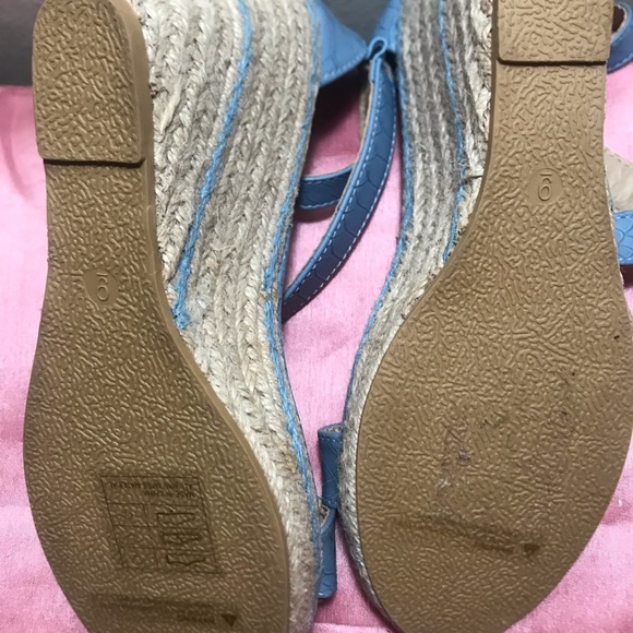 Blue Wedges. - Picture 6 of 8